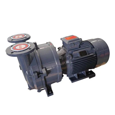 2BV5 flänsad vätskevakuumpump